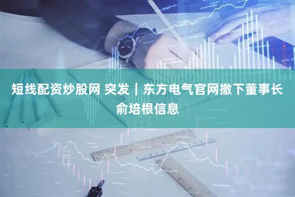短线配资炒股网 突发｜东方电气官网撤下董事长俞培根信息