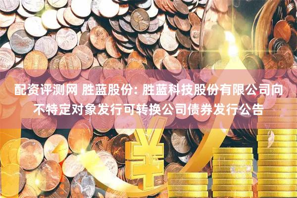 配资评测网 胜蓝股份: 胜蓝科技股份有限公司向不特定对象发行可转换公司债券发行公告