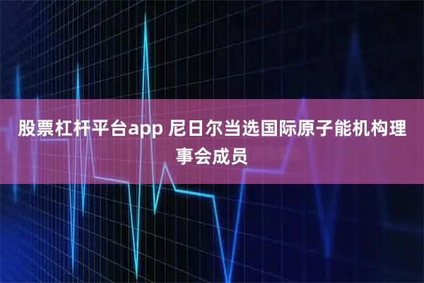 股票杠杆平台app 尼日尔当选国际原子能机构理事会成员