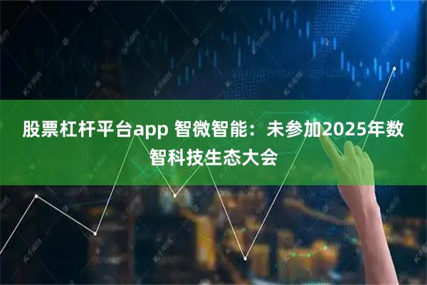 股票杠杆平台app 智微智能：未参加2025年数智科技生态大会